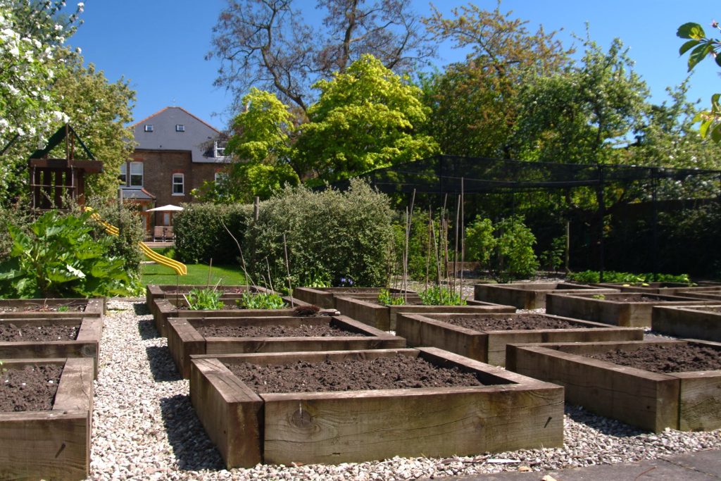 Henderson veg beds
